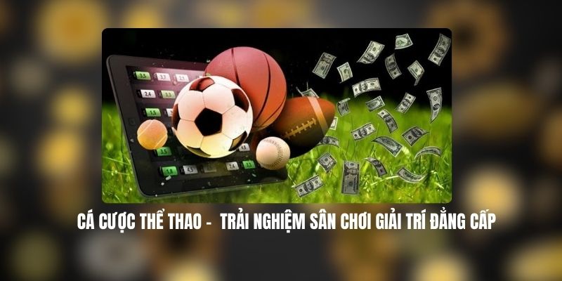 Cá Cược Thể Thao Saoclub